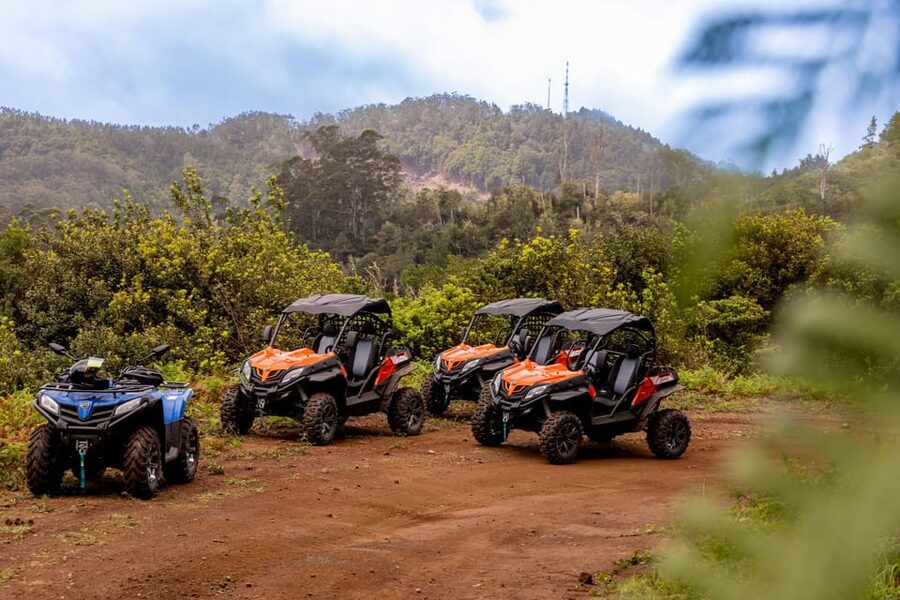 Madeira: Off-Road Buggy Adventure Through Laurissilva Forest - The Viewpoints That Make the Effort Worth It