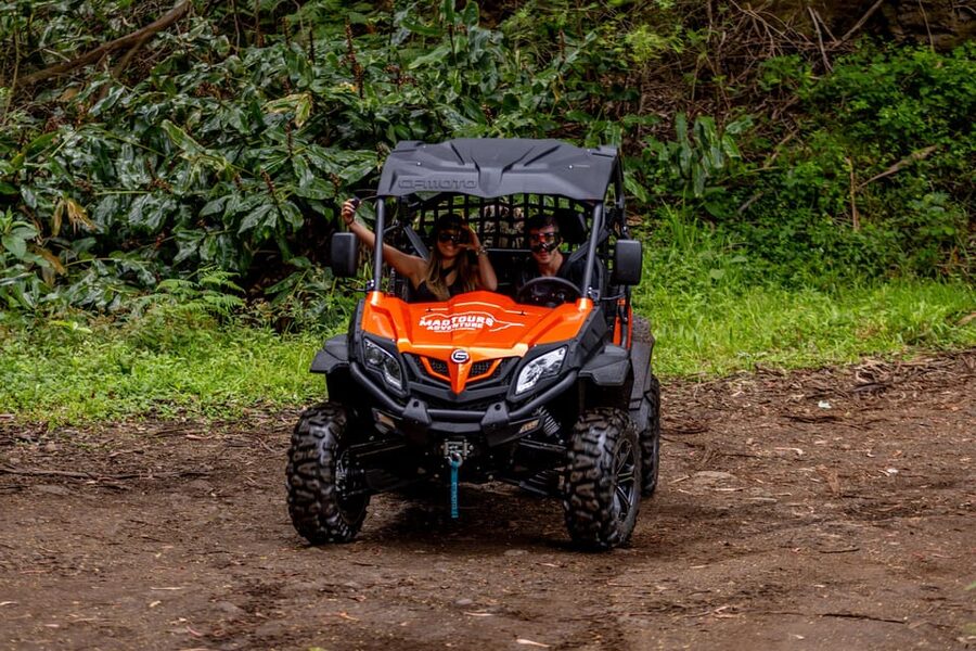 Madeira: Off-Road Buggy Adventure Through Laurissilva Forest - Who Should Book (and Who Might Skip This)
