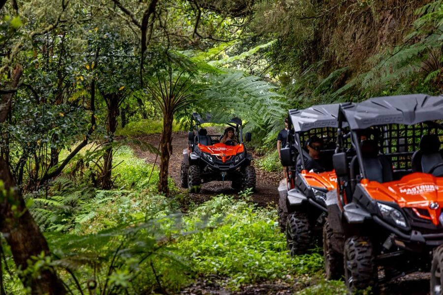 Madeira: Off-Road Buggy Adventure Through Laurissilva Forest - Should You Book MadTours Adventure for the Buggy Ride?