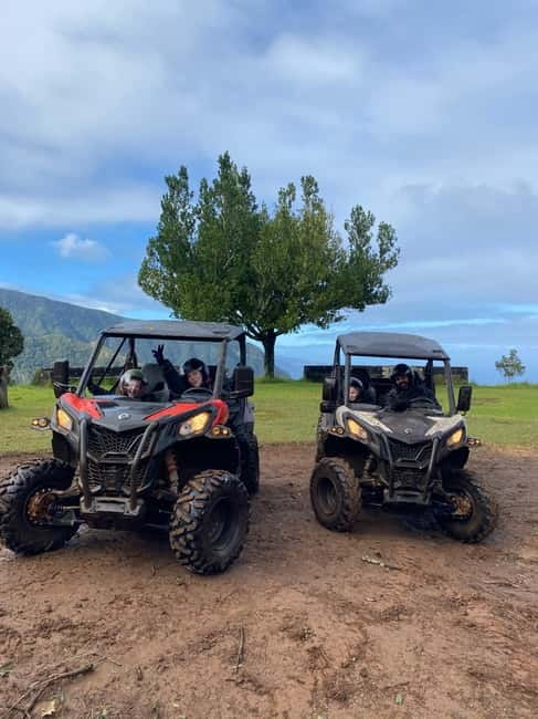 Madeira: Off-Road Buggy Driving Experience - Key points before you go