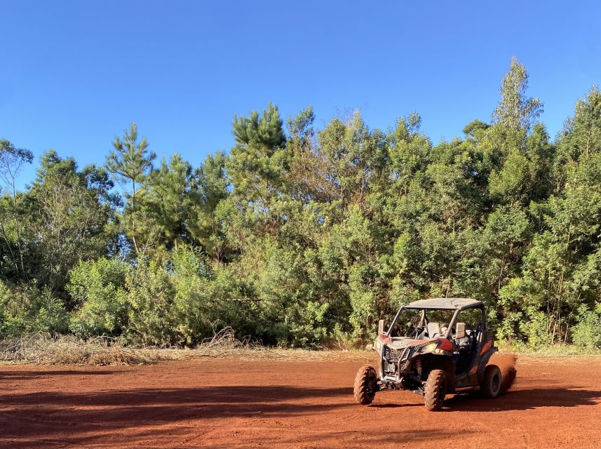 Madeira: Off-Road Buggy Driving Experience - Safety and gear that actually show up when it rains