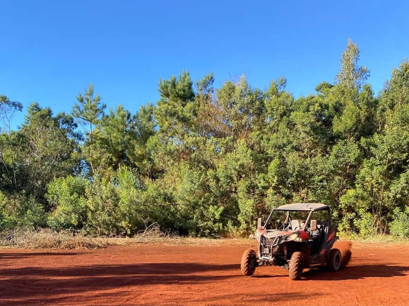 Madeira: Off-Road Buggy Driving Experience - Photo stops that do not wreck the adrenaline