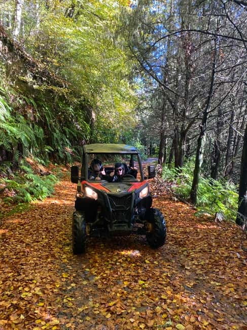 Madeira: Off-Road Buggy Driving Experience - Off-road terrain, mud puddles, and why that is the point