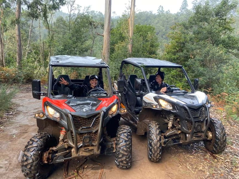Madeira: Off-Road Buggy Driving Experience - Who should book this buggy tour