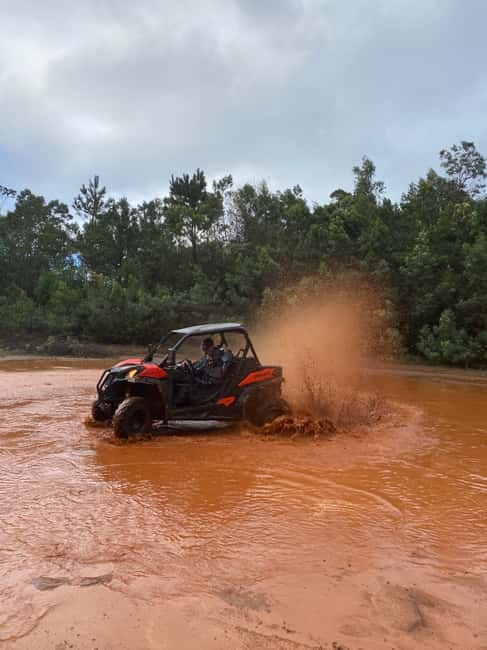 Madeira: Off-Road Buggy Driving Experience - Price and value: $176 per group up to 2