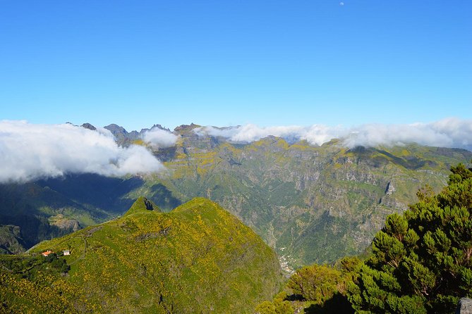 Madeira Peaks - Mountain Walk - How the Funchal pickup keeps your morning sane