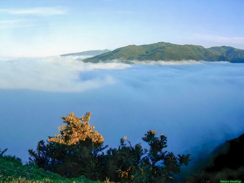Madeira: Pico Arieiro to Pico Ruivo Hike - Key highlights worth planning for