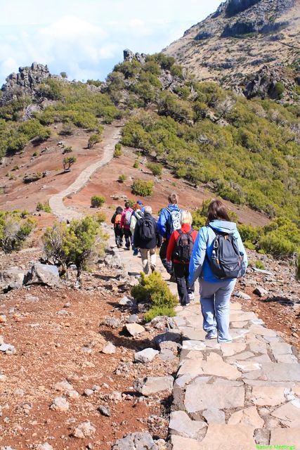 Madeira: Pico Arieiro to Pico Ruivo Hike - Pico do Arieiro start: coffee, flora, and the first big climb