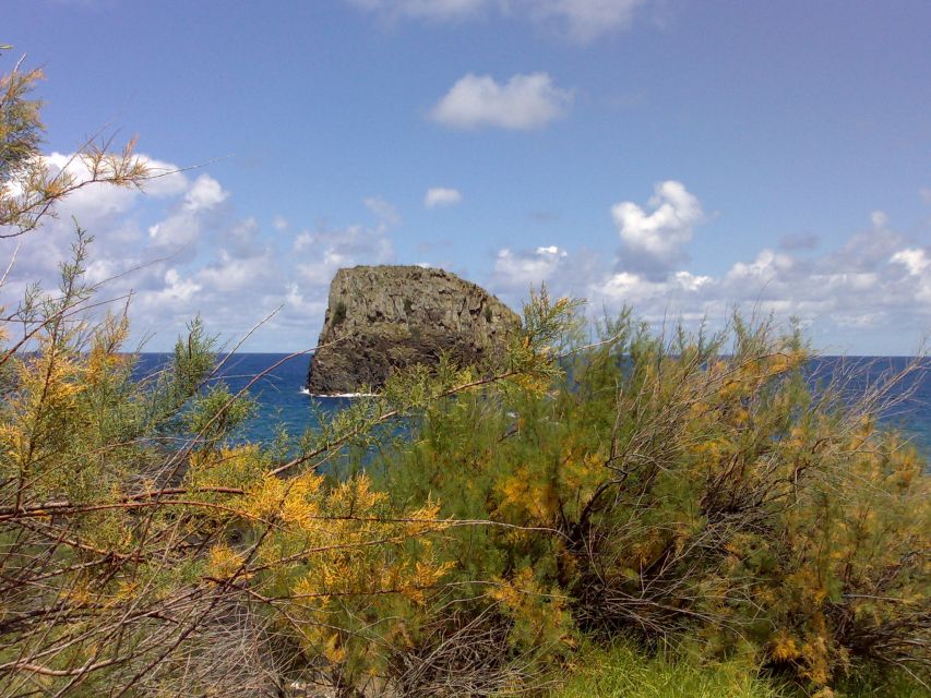 Madeira: Pico do Arieiro & Laurissilva Forest - East tour - Key things I’d circle before you book