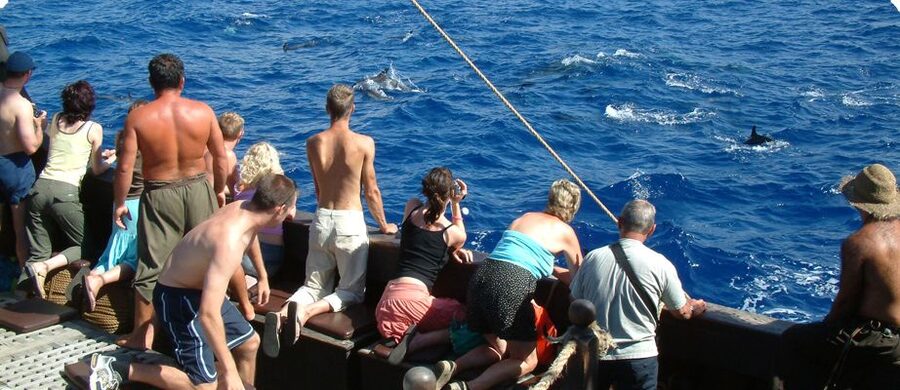 Madeira Pirate Ship: 3-Hour Boat Trip - The 3-hour flow: sail the south coast, scan the ocean, then anchor by Cabo Girao