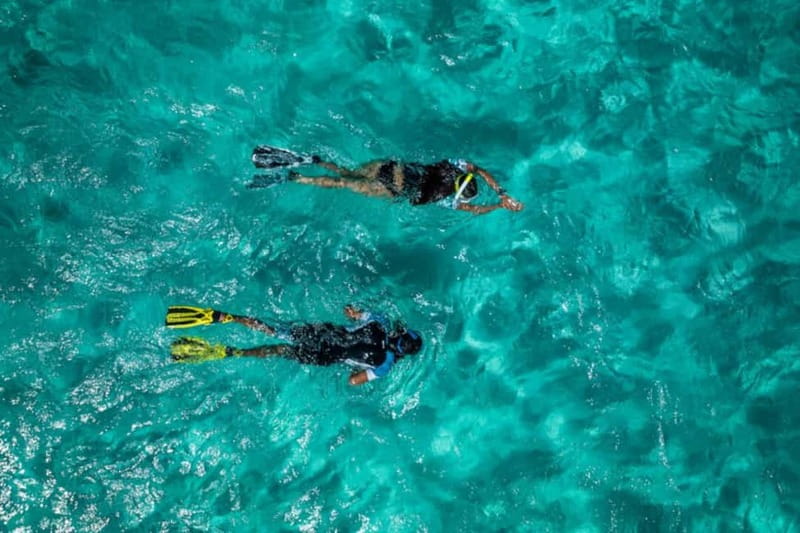Madeira: Ponta de São Lourenço Snorkeling Boat Trip - Key highlights you will feel fast