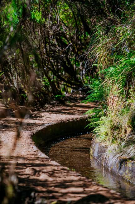 Madeira: PR 18 - Levada do Rei Hike Transfer with Host - Van transfer: the Funchal to São Jorge drive that sets the tone