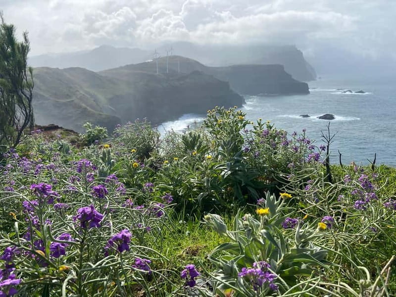 Madeira: PR8 -Ponta de São Lourenço Natural Reserve Transfer - Price and value: what $35 buys you