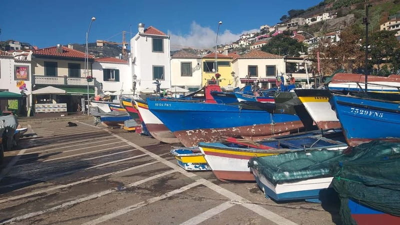 Madeira Private 4-Seater Mercedes VIP - Who this tour is perfect for, and who should choose something else
