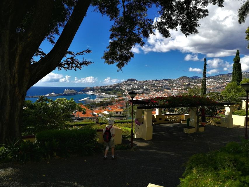 Madeira: Private Funchal City Tour in a Tukxi - Tukxi rides through Funchals narrow streets, steep roads, and great viewpoints