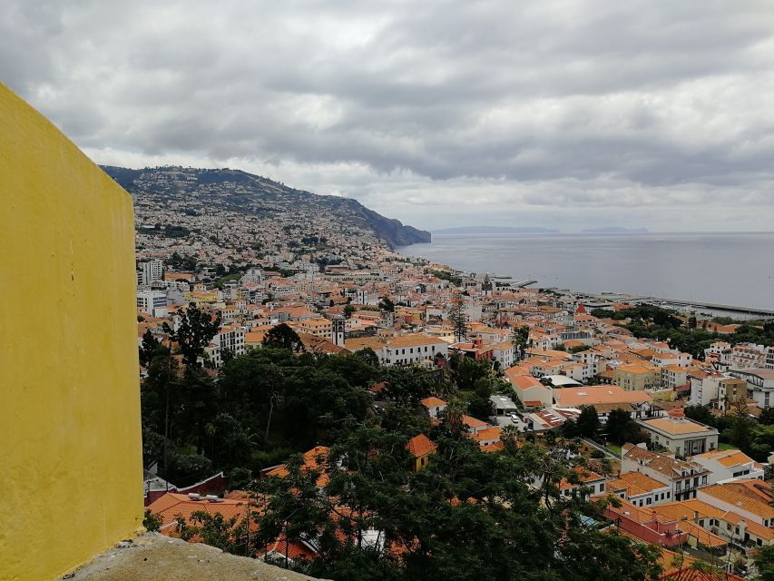 Madeira: Private Funchal City Tour in a Tukxi - Who should book this Tukxi tour (and who should not)