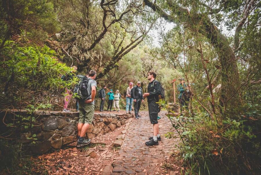 Madeira: Rabaçal Valley and the 25 Fountains Hike - Rabaçal and the Laurisilva: Why this forest walk feels different