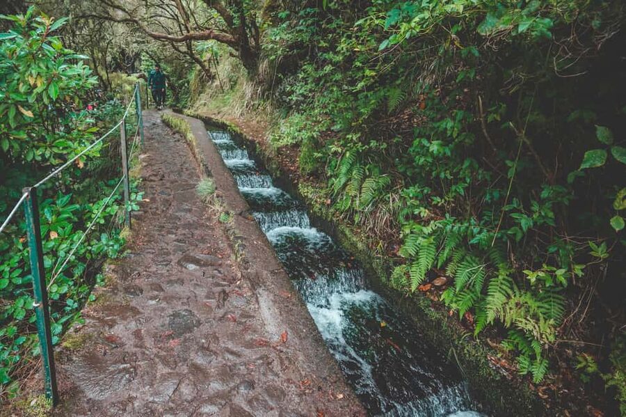 Madeira: Rabaçal Valley and the 25 Fountains Hike - Entering the UNESCO Laurisilva: shaded walking with real context