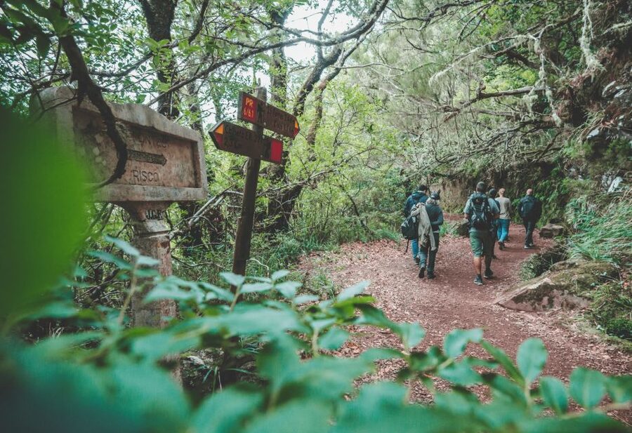 Madeira: Rabaçal Valley and the 25 Fountains Hike - The Risco Waterfall detour: a short climb that feels worth it