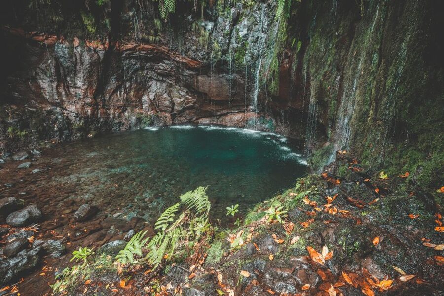 Madeira: Rabaçal Valley and the 25 Fountains Hike - Price and value: is $54 fair for a 7-hour nature day?