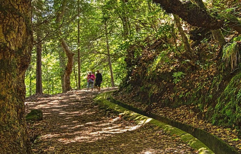 Madeira: Santana Jeep Safari and Referta Levada Walk - Gear, Comfort, And Timing Tips That Make The Day Easier