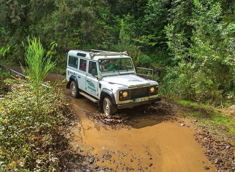 Madeira: Santana Jeep Safari and Referta Levada Walk - Referta Levada Walk, Where Madeira’s Water Story Shows Up