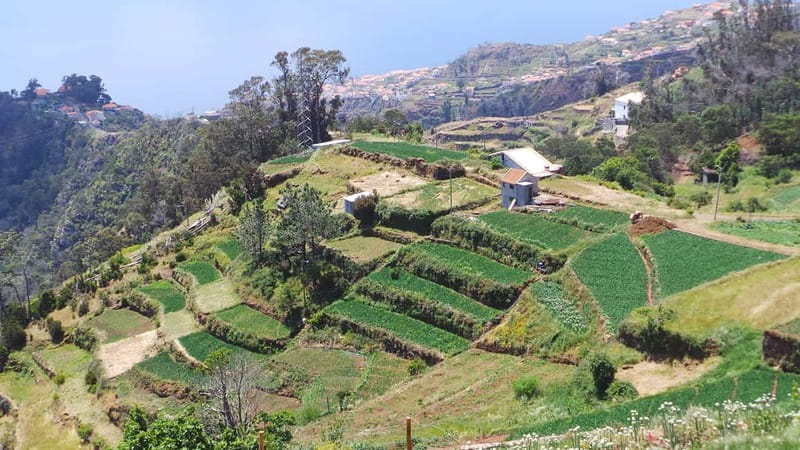 Madeira: Santana Jeep Safari and Referta Levada Walk - Santana’s Iconic Triangular Roof Houses And A Real Break