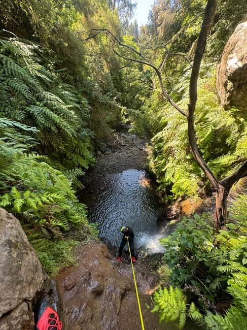 Madeira Short Canyoning For Beginners Rochão Level 1 - Rochão Canyon in Madeira: what Level 1 really gives you