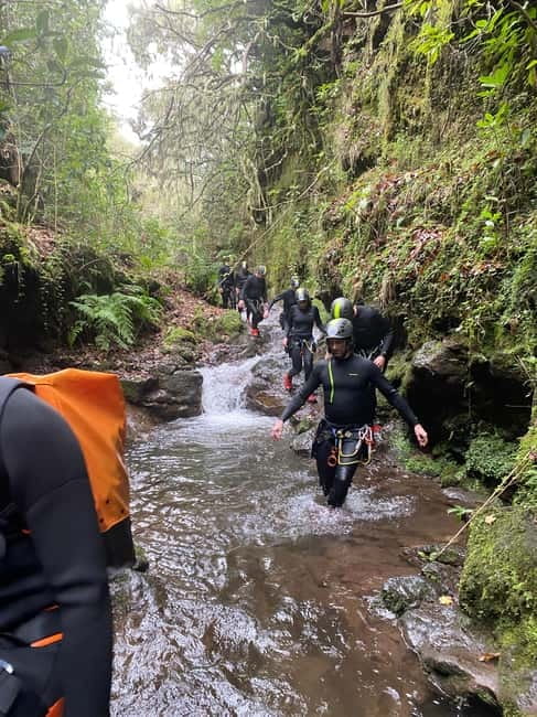 Madeira Short Canyoning For Beginners Rochão Level 1 - My call: should you book Rochão Level 1 canyoning?
