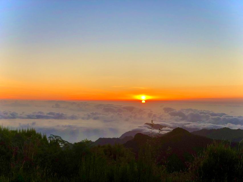 Madeira: Sunrise at Pico do Arieiro & Hike Larano trail - Who Should Book This Sunrise and Larano Combo