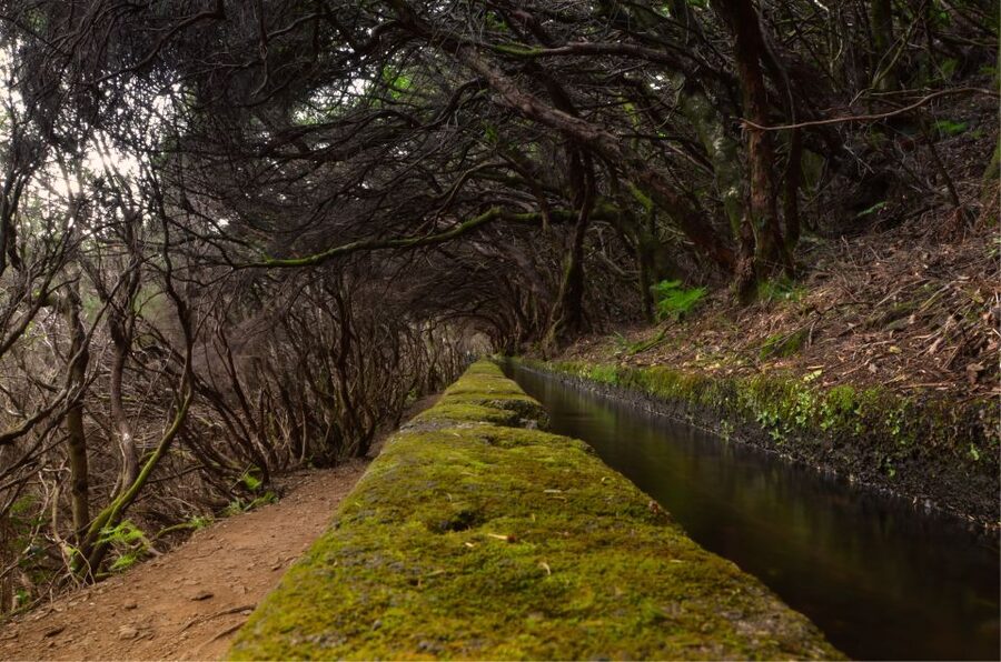 Madeira Walks - Rabaçal and the 25 Fountains - Key highlights worth planning for