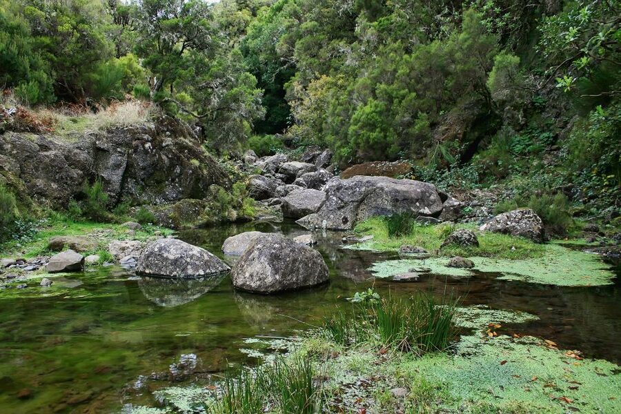 Madeira Walks - Rabaçal and the 25 Fountains - How the guide keeps the day safe and interesting