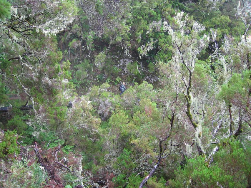 Madeira Walks - Rabaçal and the 25 Fountains - What to pack for a wet, step-heavy Rabaçal day