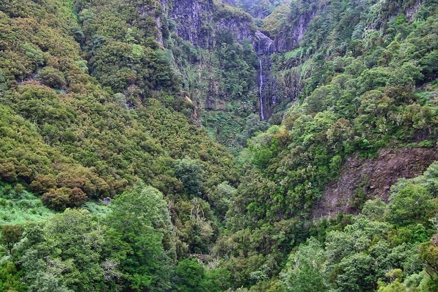 Madeira Walks - Rabaçal and the 25 Fountains - Price and value: is $50 worth it?