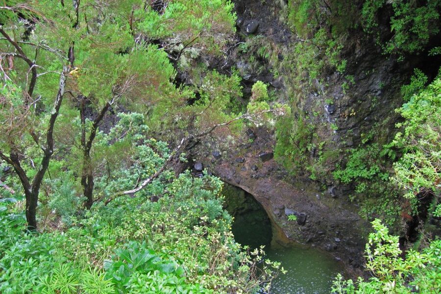 Madeira Walks - Rabaçal and the 25 Fountains - Who should book, and who should skip this hike