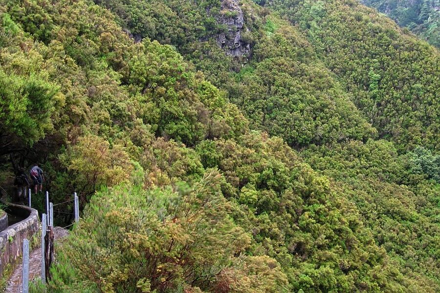Madeira Walks - Rabaçal and the 25 Fountains - Should you book Madeira Walks: Rabaçal and the 25 Fountains?