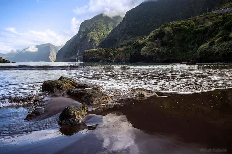 Madeira West Island Full-Day Tour with Fanal Forest - Ribeira Brava, Ponta do Sol, and the food stops you can actually use