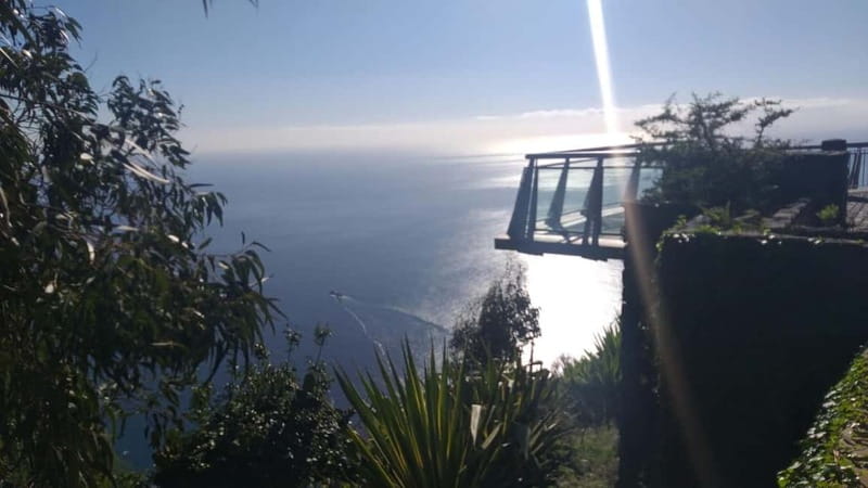 Madeira West Island Full-Day Tour with Fanal Forest - Driving comfort and the reality of a long day