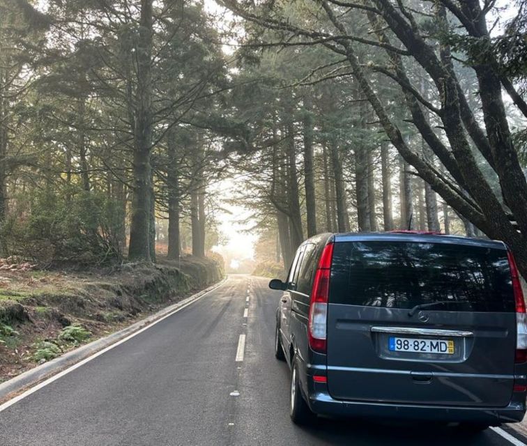 Madeira: Western Madeira Guided Trip & Fanal Mystic Forest - What To Pack So Rain Or Shine Does Not Ruin Your Day