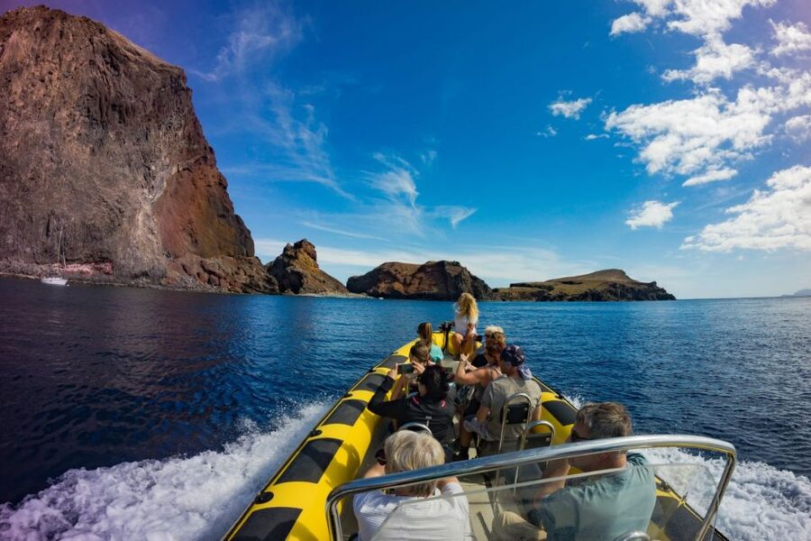 Madeira: Whale and Dolphin Watching Tour - Madeira Whale and Dolphin Watching From Dreams Hotel Marina