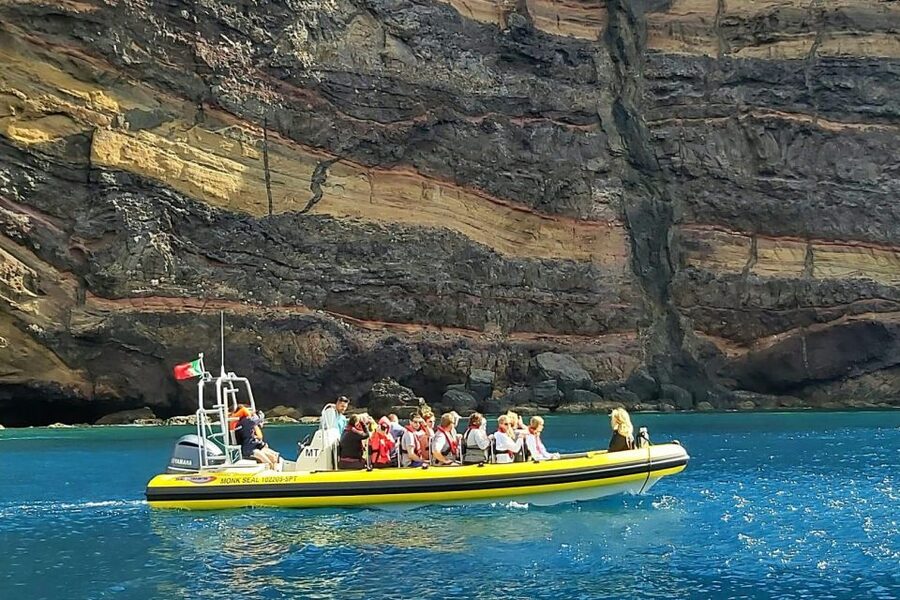Madeira: Whale and Dolphin Watching Tour - Ponta de São Lourenço: Your Main Wildlife Search Zone