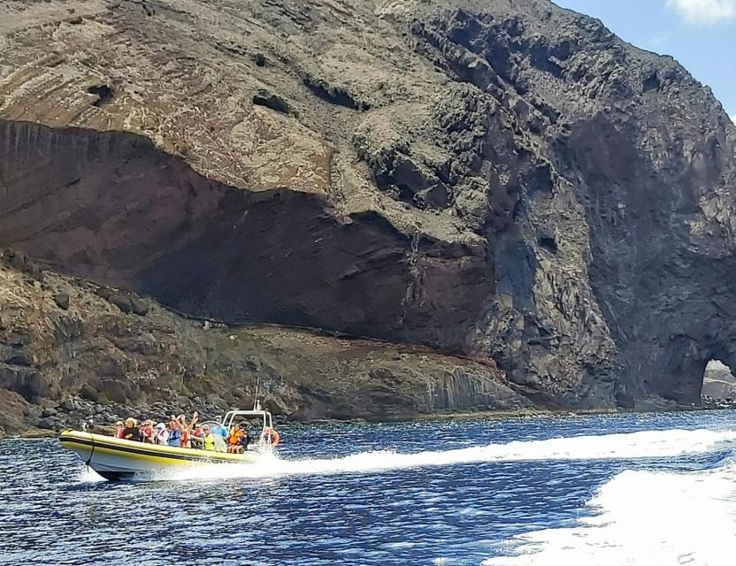 Madeira: Whale and Dolphin Watching Tour - Marine Biologist Commentary: More Than Just Spotting