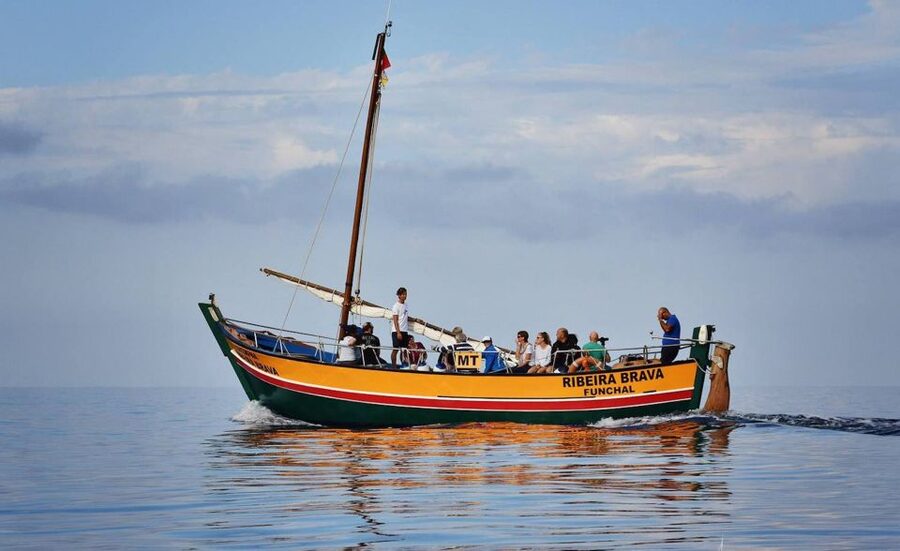 Madeira: Whale Watching Excursion in a Traditional Vessel - What You’re Most Likely to See: Dolphins, Birds, and Whale Species