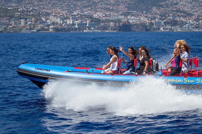 Magic Dolphin Sea Safaris - What makes this Sea Safari work in real life