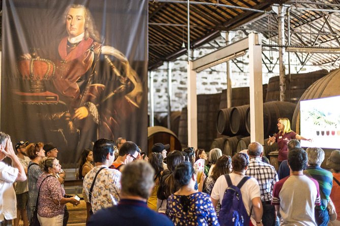 MagicTrain Tour and Port Wine Cellar Visit & Tasting - Magic Train Porto ride, what you actually see and why it helps