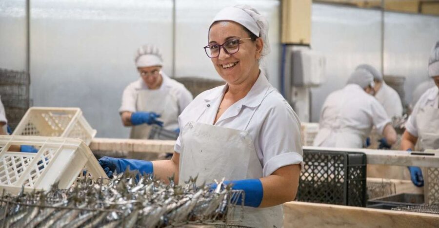 Matosinhos: Conservas Pinhais Factory Tour - Key highlights to look for