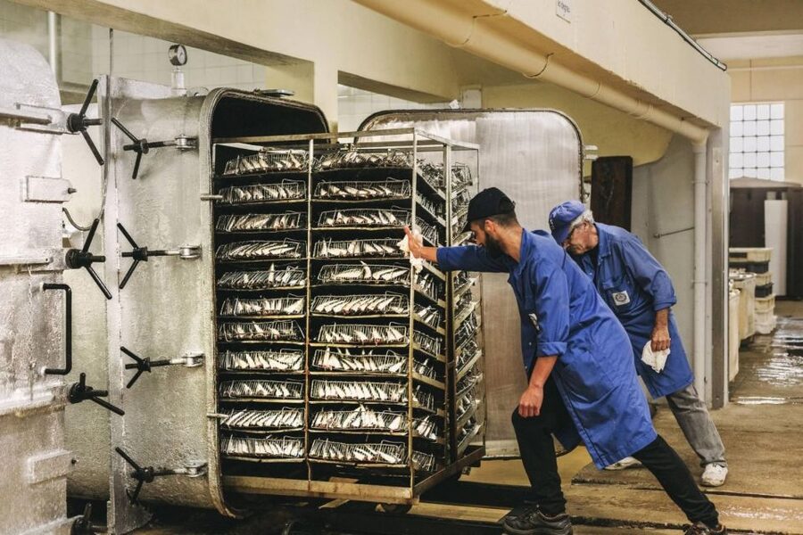 Matosinhos: Conservas Pinhais Factory Tour - Production floor and old workshop: where the tradition turns into steps