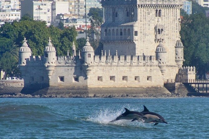 Meet the Lisbon Dolphins - Dolphin Watching in Lisbon - Extra search time if the ocean is quiet