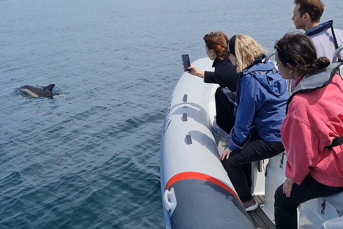 Meet the Lisbon Dolphins - Dolphin Watching in Lisbon - The landmarks you pass: Torre de Belém to MAAT