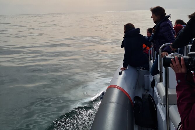 Meet the Lisbon Dolphins - Dolphin Watching in Lisbon - The best part after the dolphins: learning to watch